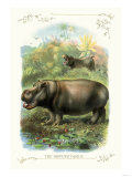 The Hippopotamus Posters