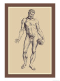 Man Poster von Andreas Vesalius