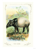 The Tapir Print