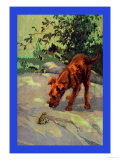 Irish Terrier Puppy Posters by Diana Thorne