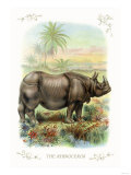 The Rhinoceros Prints