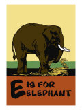 E is for Elephant Photo by Charles Buckles Falls