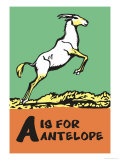 A is for Antelope Posters par Charles Buckles Falls