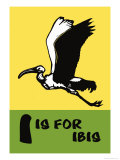 I is for Ibis Posters by Charles Buckles Falls