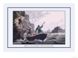 Bird Catching from Below Prints by J.h. Clark