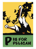 P is for Pelican Print by Charles Buckles Falls