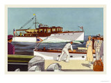 48 Foot and 45 Foot Twin Screw Cruisers Posters by Douglas Donald