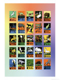 Charles Buckles Falls - Animal Alphabet Plakát