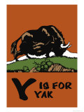 Y is for Yak Photo by Charles Buckles Falls