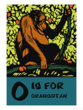 O is for Orangutang Photo by Charles Buckles Falls