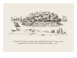 View of Cubbeen Burr Posters by Baron De Montalemert