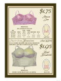 Alencon Lace and Regal Broadcloth Brassieres Posters