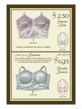 Empress Satin and Paradise Batiste Brassieres Poster Empress Satin and Paradise Batiste Brassieres Poster