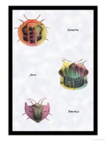 Beetles of Sumatra, Java and America Prints by Sir William Jardine