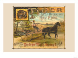 Tiger Self Operating Hay Rake Posters