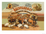 Halstead and Company Beef and Pork Packers Plakater av Richard Brown Halstead and Company Beef and Pork Packers Plakater av Richard Brown