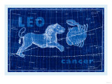 Cancer and Leo Photo