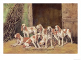 Franche Comet Hounds Poster by Baron Karl Reille