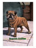 Typical Brussels Griffon Champion Prints