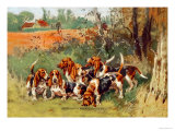Artesien Normand Bassets Poster by Baron Karl Reille