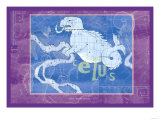 Cetus and Eridanus Prints