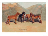 Bloodhounds Photo by Thomas Ivester Llyod