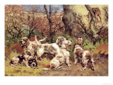 Griffon Vendeen Bassets Prints by Baron Karl Reille