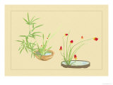 Bamboo, Narcissus, and Lily Prints by Sofu Teshigahara
