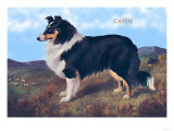 Reverend Hamilton's Collie Posters