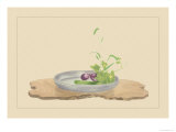 Foxtail Grass, Eggplant, and Cucumber Prints by Sofu Teshigahara
