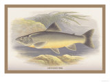 Loch Killin Posters by A.f. Lydon