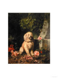 Amateur Gardener Prints by Lambert 