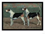 Two Fox Hounds Posters