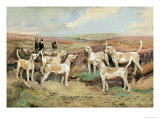 West Country Harriers Posters by Thomas Ivester Llyod West Country Harriers Posters by Thomas Ivester Llyod