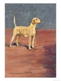 Whipcord Prints by Thomas Ivester Llyod