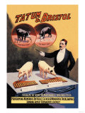 Tatum and Bristol's Troupe of Trained Pigs Posters
