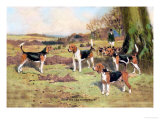 Beagles Poster by Thomas Ivester Llyod