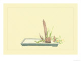 Reed and Pond Lily Photo by Sofu Teshigahara