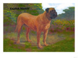 English Mastiff Champion Láminas