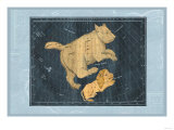 Ursa Major and Leo Minor Posters