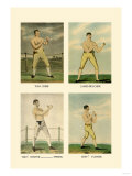 Punching Quartet Láminas