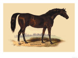 Touchstone Prints by L. Penicaut