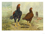 Indian Game Posters