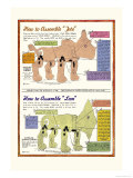 How to Assemble Toto Posters by William W. Denslow