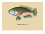 Girelle de Bory Poster