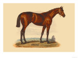 Ormond Prints by L. Penicaut