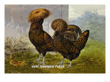 Gold Spangled Polish Posters