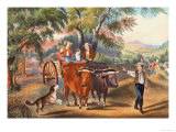 Haying Time Prints by Currier & Ives Haying Time Prints by Currier & Ives