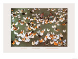 The Brigade's Chicken Farm Posters by Ma Ya-li