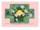 White Rose Soap Pósters